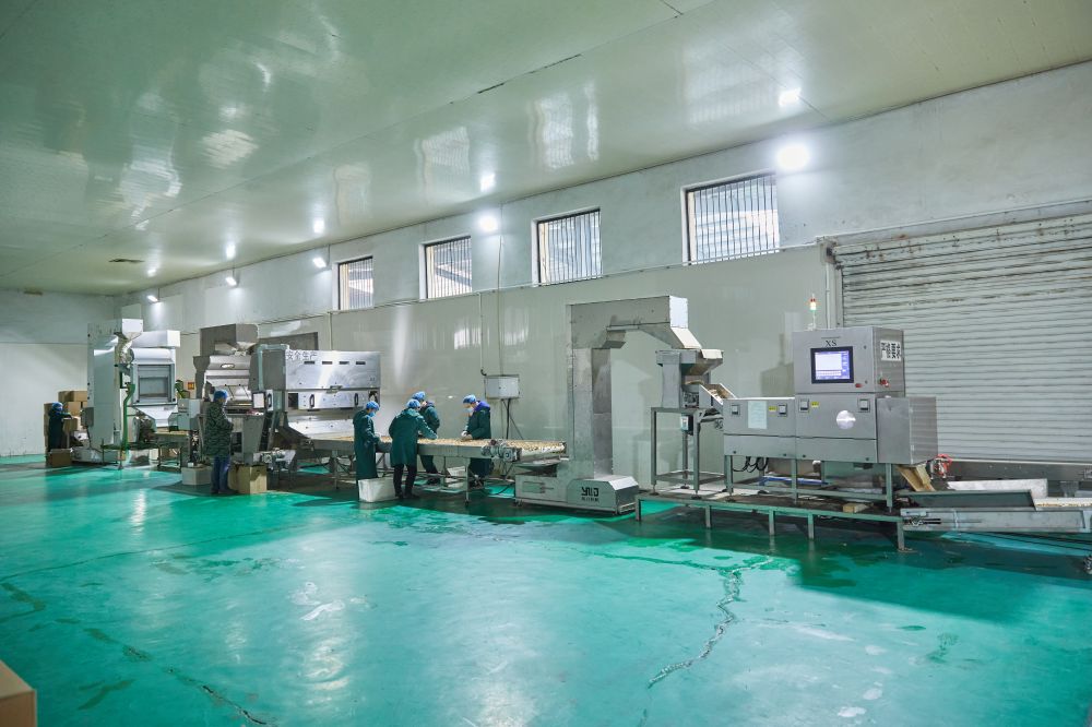 Dây chuyền sản xuất hạt óc chó hoàn chỉnh tại Trung Quốc (2)
