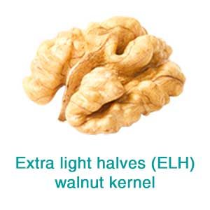 Walnut Kernel (11)
