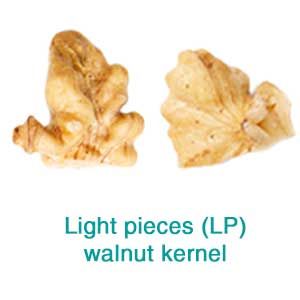 Walnut Kernel (14)