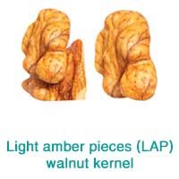 Walnut Kernel (17)